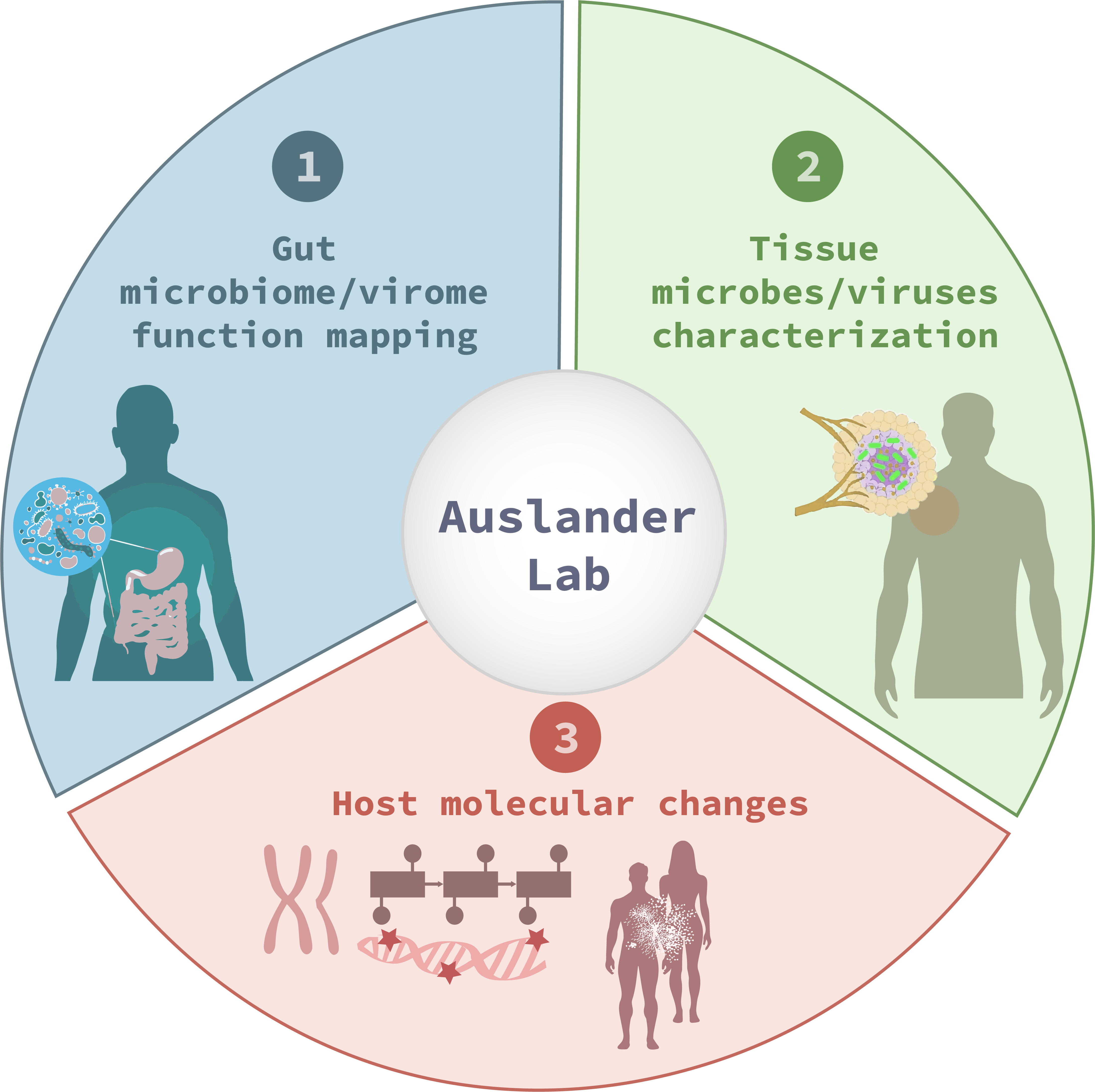 Auslander Lab research logo